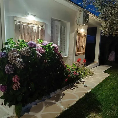 Salty Seashells Дом отдыха Скиатос